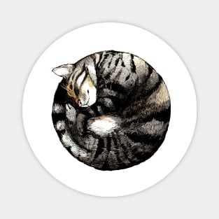 Tranquil Cat Sleeps in a Circle Magnet